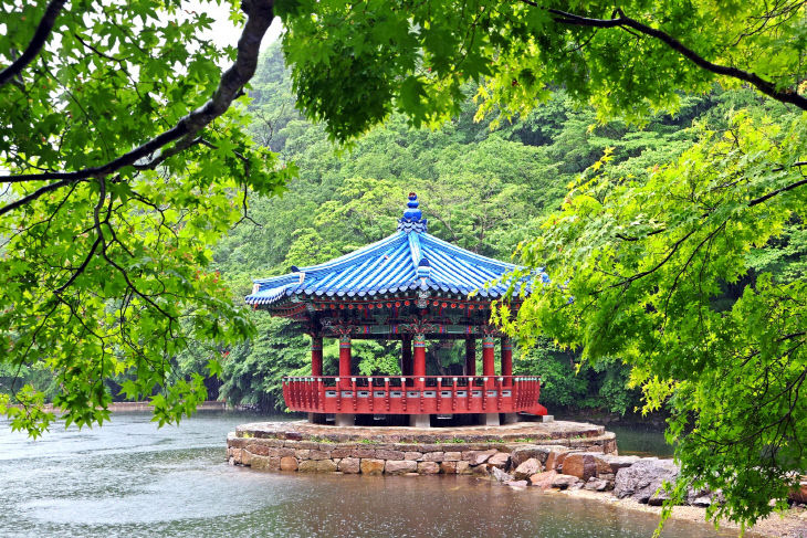 ” 정읍 내장산, 촉촉한 신록 물결 가득 (2)