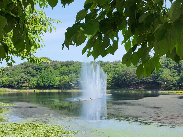 KakaoTalk_20260525_114425748