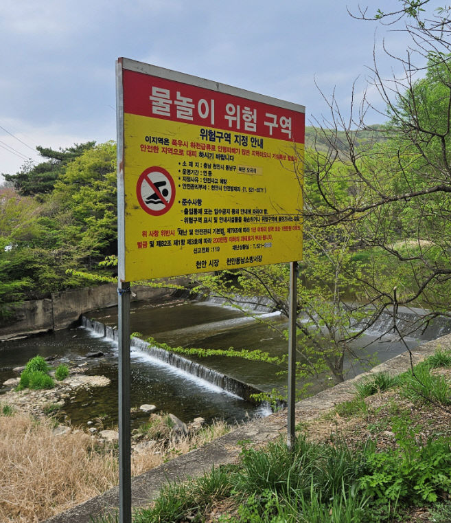 안전총괄과(물놀이 안전관리 대책기간) (2)