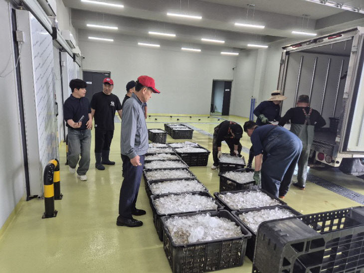 구시포항 위판장, 올해 첫 위판(3)