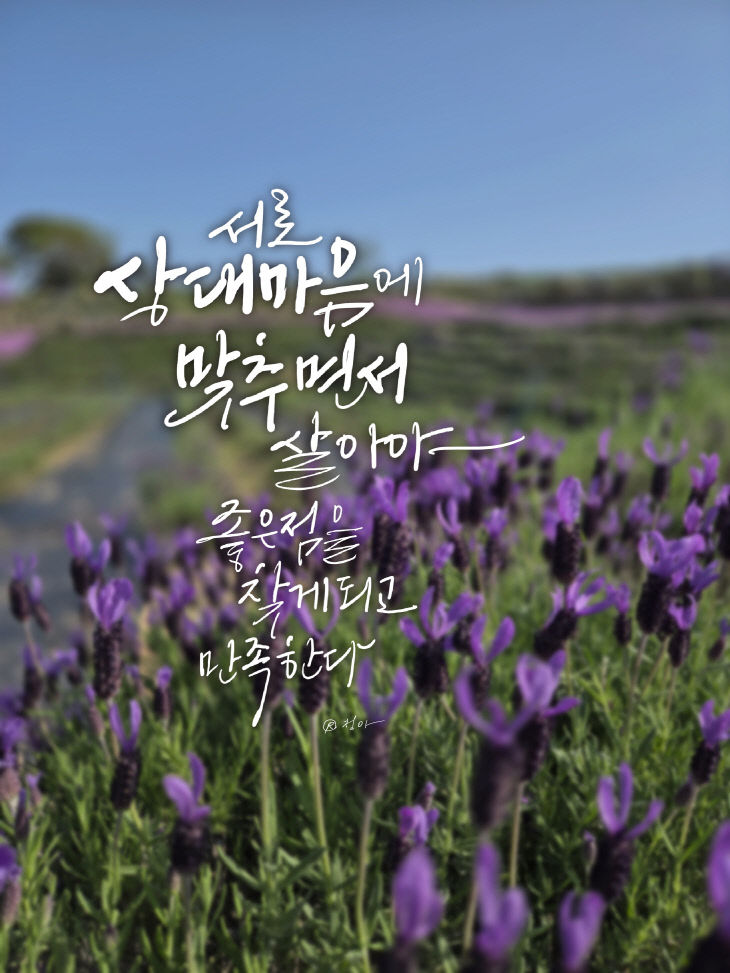 KakaoTalk_20260522_081000694