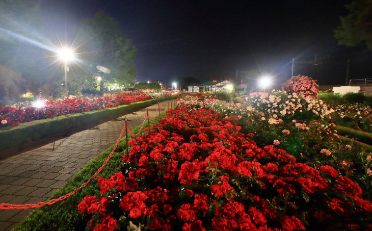 곡