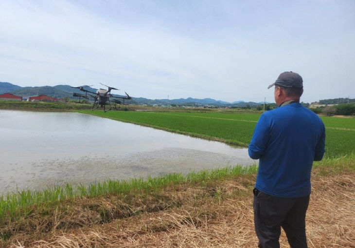2. 청양 벼 직파재배
