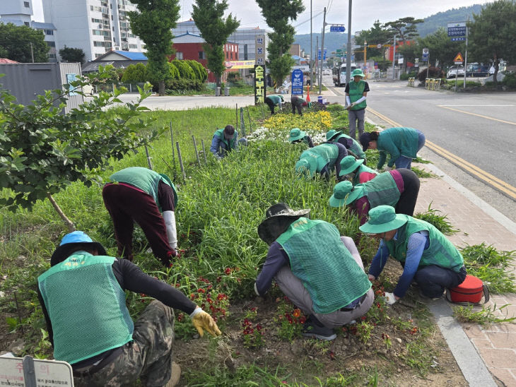 5.신양면 새마을협의회 제초 작업 모습 (2)