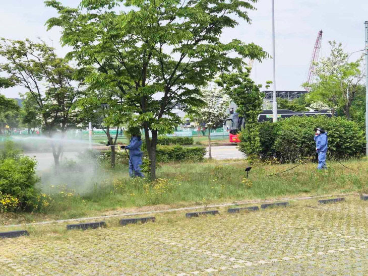 사본 - (사진2)왕벚나무 방제작업