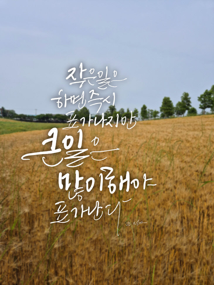 KakaoTalk_20260527_080234330