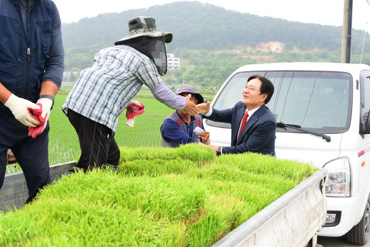 예비모 공급 현장 찾아(1)
