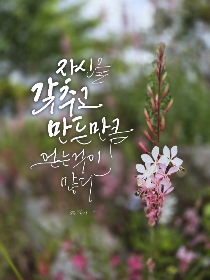 KakaoTalk_20260528_142408393