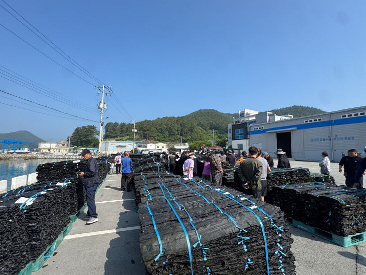 완도