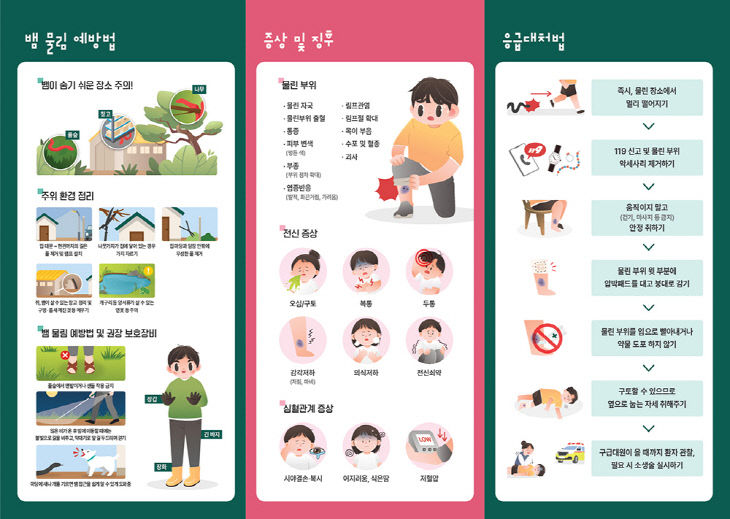 뱀 물림 예방법 및 응급대처법