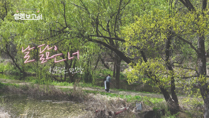'공공연애 프로젝트, 설렘 보고서' 영상 사진.(사진=음성군 제
