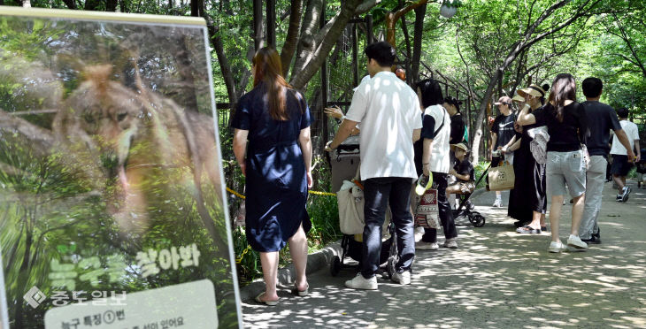 20260607-오월드 재개장4