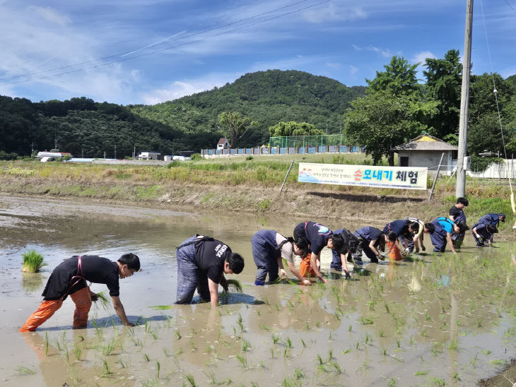 노성중학교
