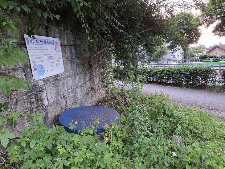 4-천근 벙어리샘