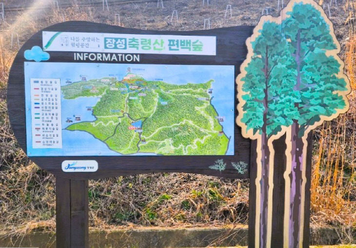 장성