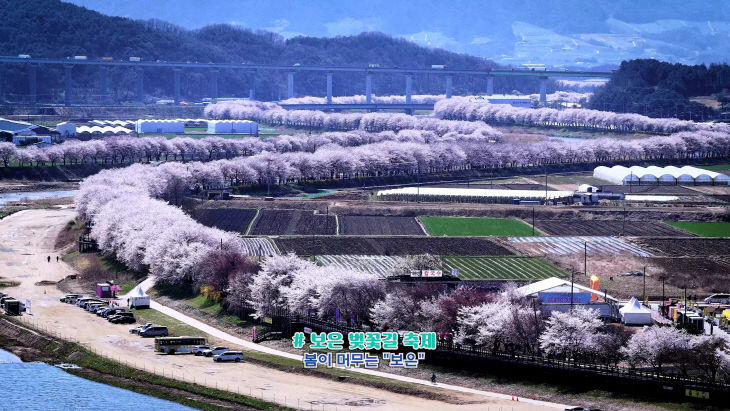 6.9.보은군, ‘2026 보은