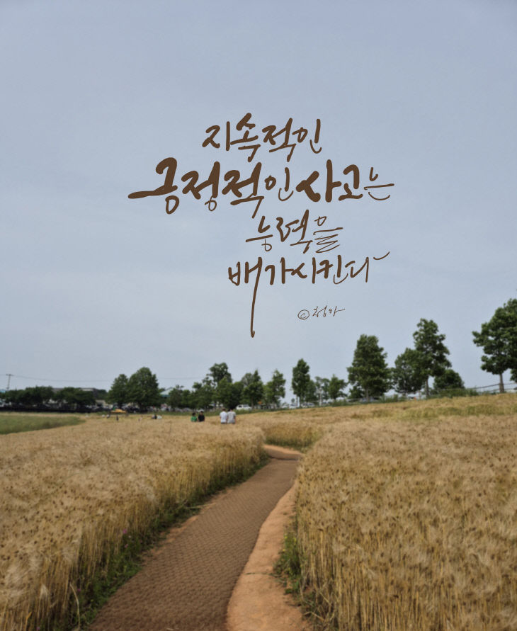 KakaoTalk_20260603_075708804