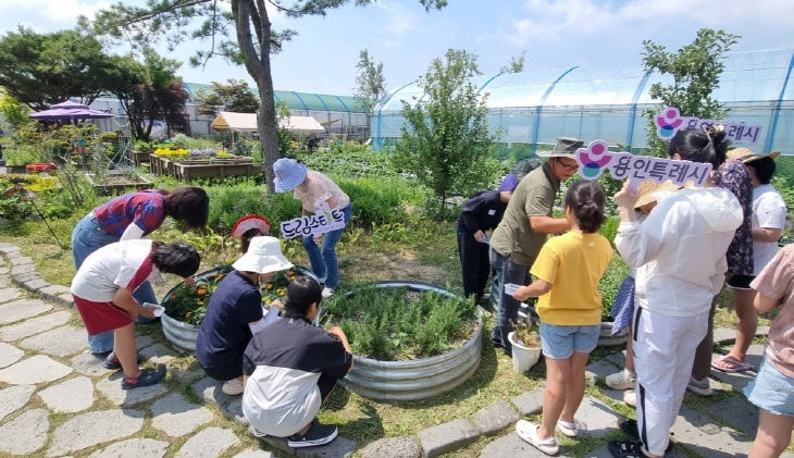 3. 용인특례시가 진행한 드림팜 마음자람 농장체험