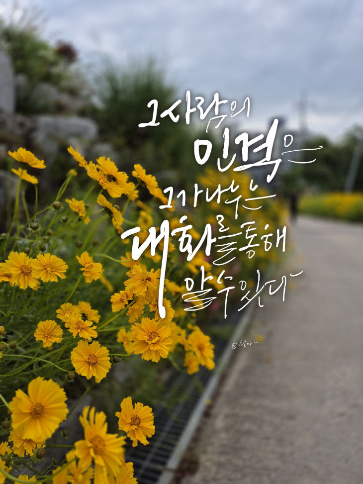KakaoTalk_20260605_181732264
