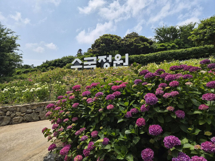 사진 (1)