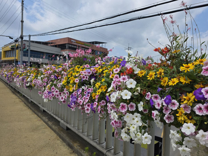 보령시