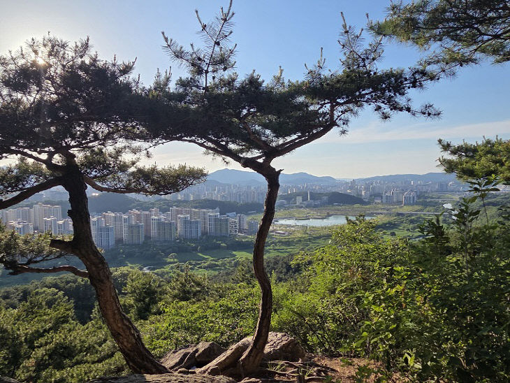 1 산 전경