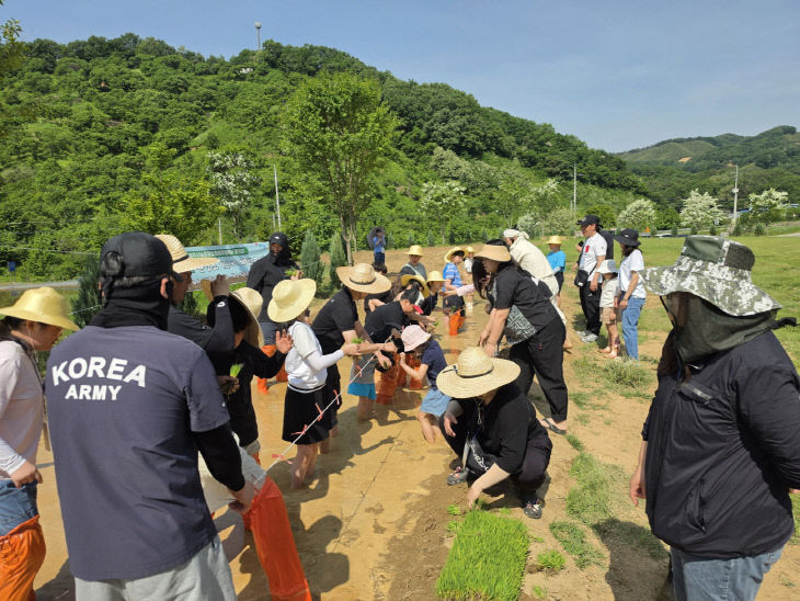 논캉스 사진 (1)