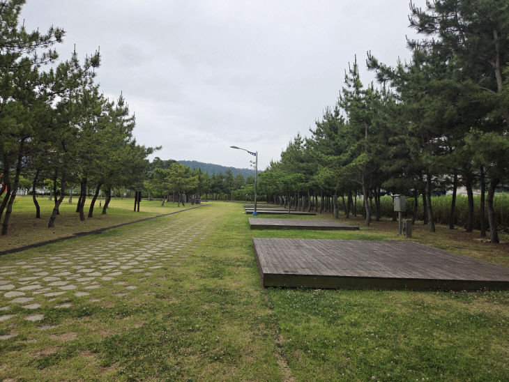 고창갯벌 오토캠핑&글램핑장 사진(2)