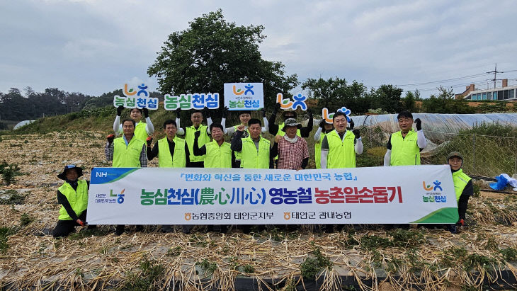 남면일손돕기1