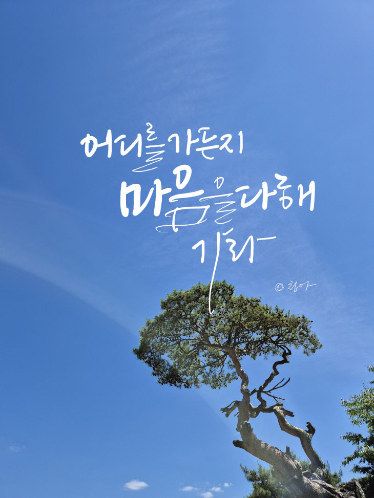 KakaoTalk_20260615_080049490