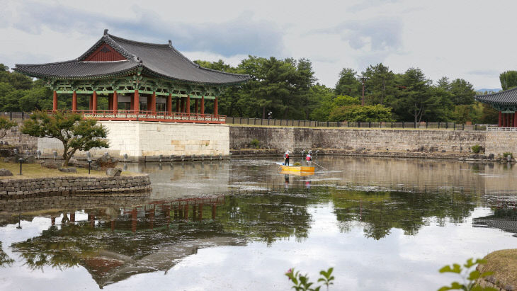 경주시 동궁과 수초 제거