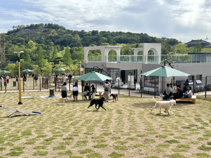 6.30(김운영)2