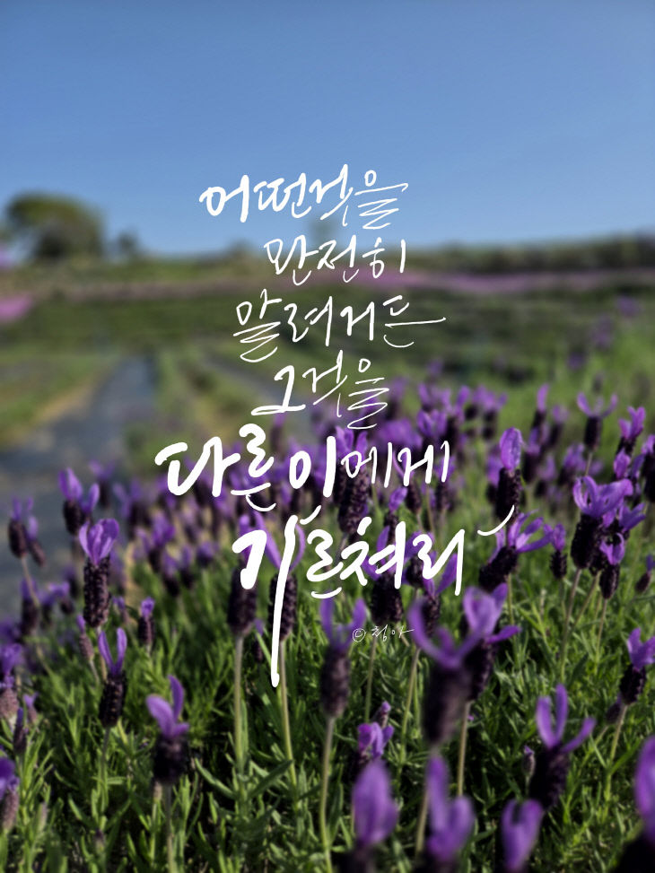 KakaoTalk_20260626_175837402