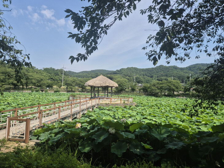 사본 - (사진3)골정지 연못 전경