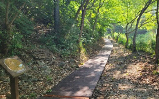 여름 숲캉스숲길체험즐기기1