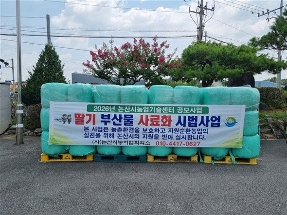 딸기 부산물 사료화2
