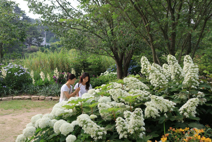 천리포수목원