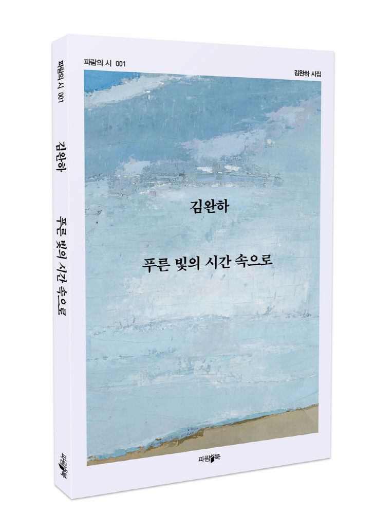 김완하 시집