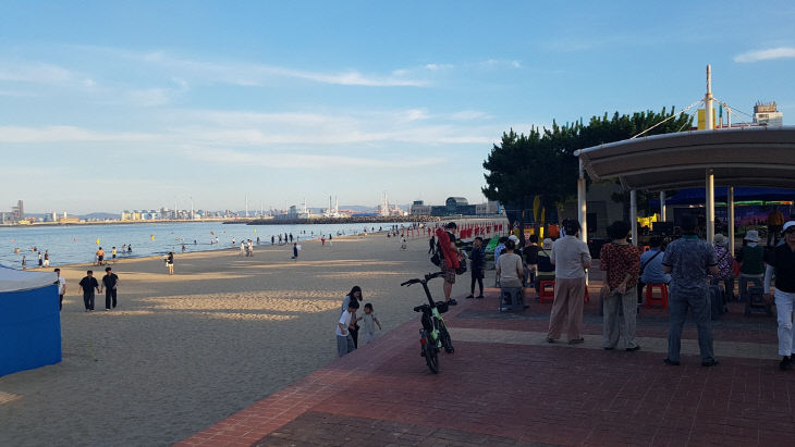 사진