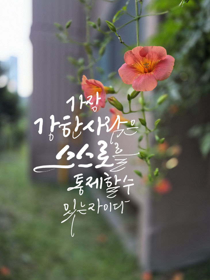 KakaoTalk_20260706_080712497