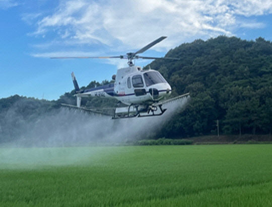 보령시