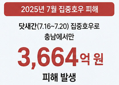 2025년 7월 충남지역 집중호우 피해