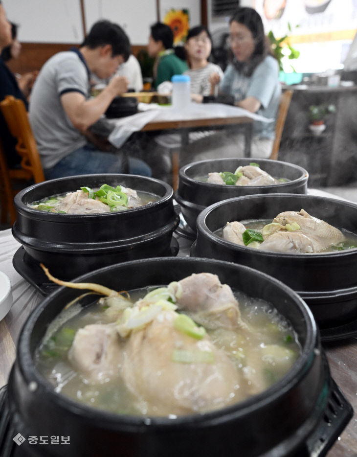 20260714-초복 앞두고 삼계탕집 북적