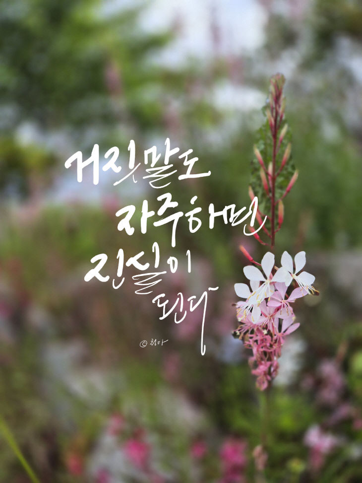 KakaoTalk_20260708_123717460