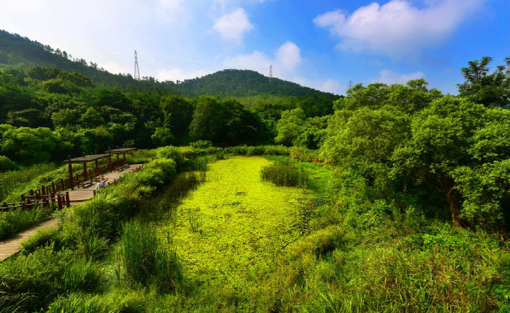 고창군 람사르운곡습지(전경)