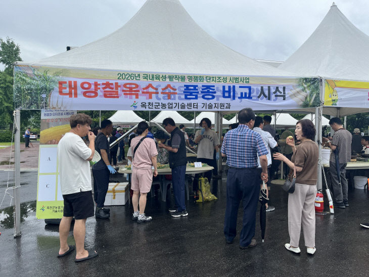 사진1) 옥수수감자축제사진(옥수수 시식회)