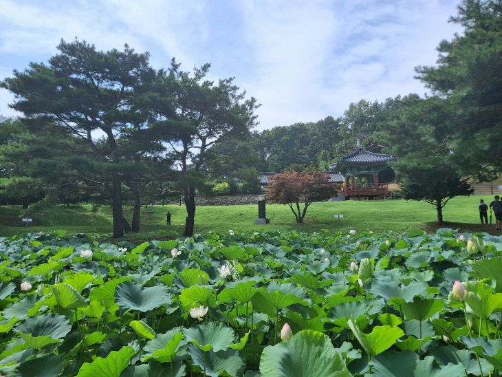 KakaoTalk_20260720_092144933