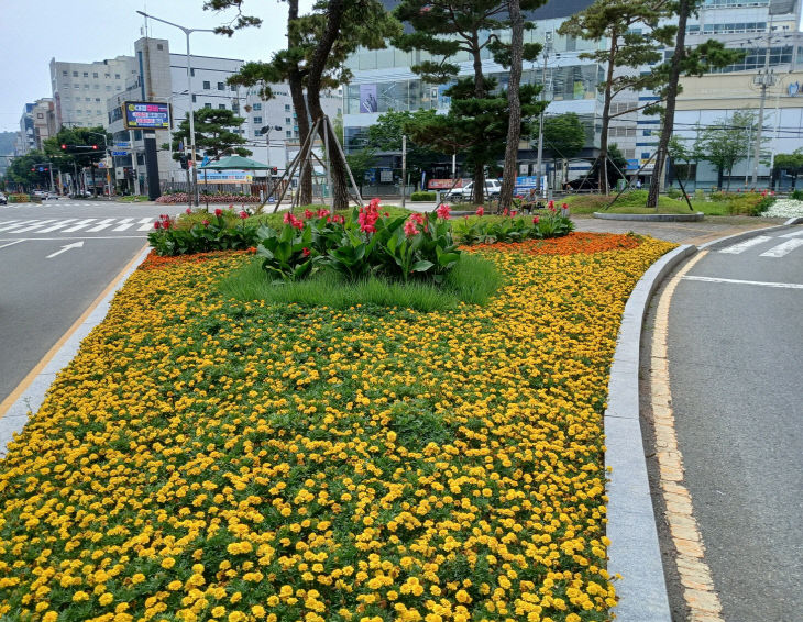 7.23(김해시 여름동)