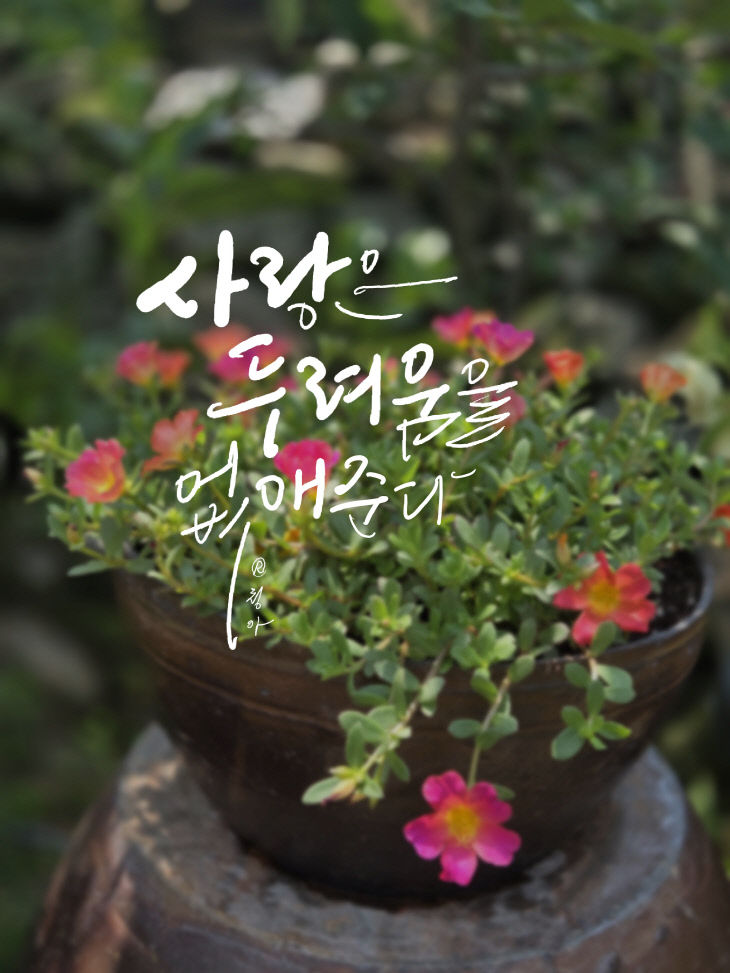 KakaoTalk_20260715_075110962