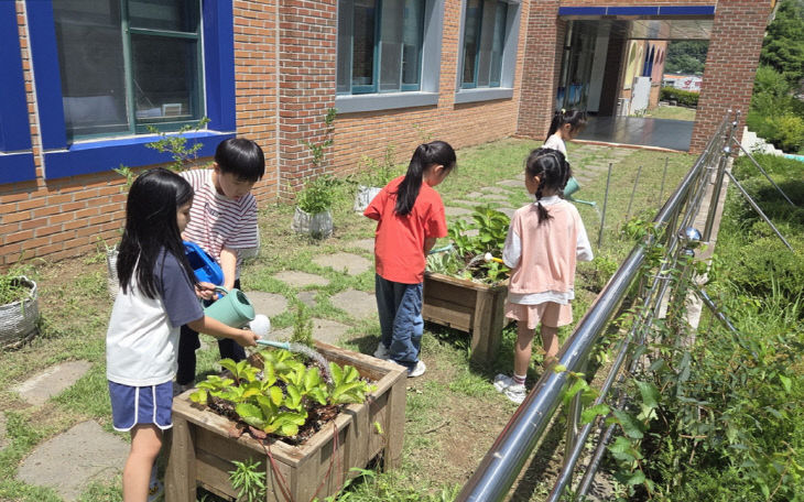 늘봄학교 교육사진